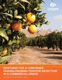 Response Guide for a Confirmed HLB Positive Detection in a Commercial Grove  
